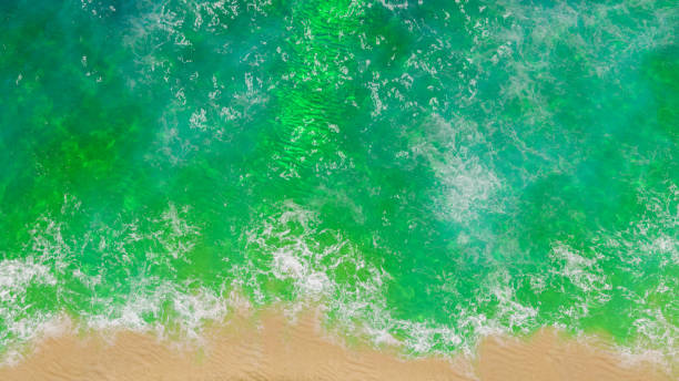footprints left in the sand on the beach