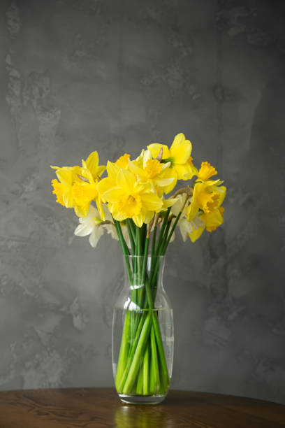 istock Yellow Daffodils in a Glass Vase on a Table Against a Gray Wall. 1488249845