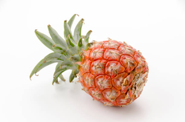 Fresh ripe pineapple fruit (peach pine) from Ishigaki Island, Okinawa