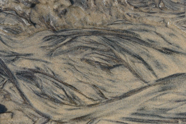 istock Full frame background - abstract patterns of the sandy bottom of Lake Huron 1488251574