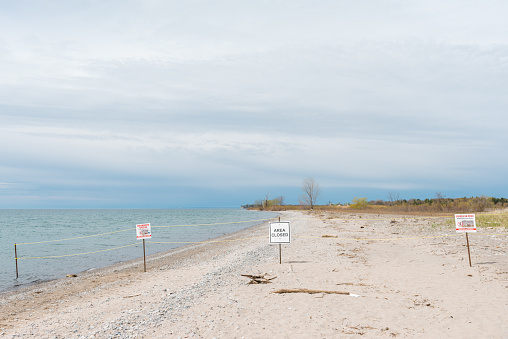Piping plover has been listed as Endangered by the United States in the Great Lakes area. A piping plover was reported to have come back to this nesting ground in early May, part of the beach is fenced off to protect the possible nest area.