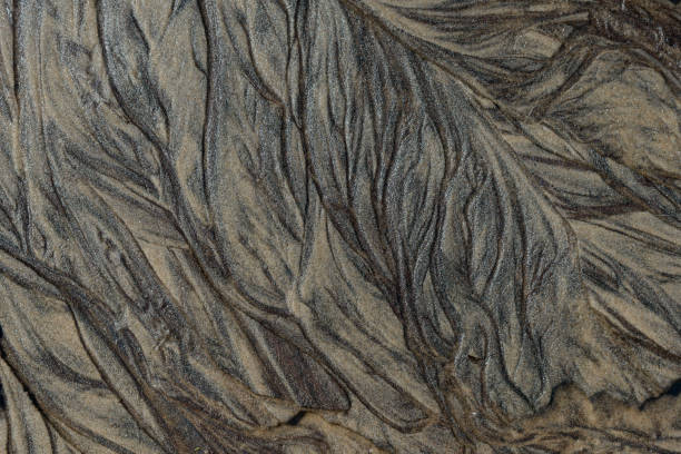 istock Full frame background - abstract patterns of the sandy bottom of Lake Huron 1488251657