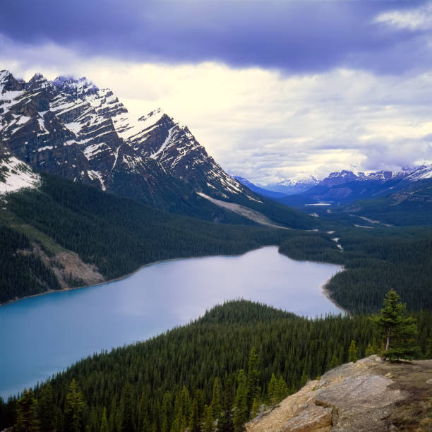 istock Banff National Park Peyto Lake 1488255893