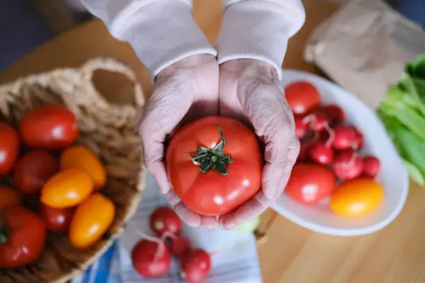 Photo of Age woman holding a large ripe tomato in her hands