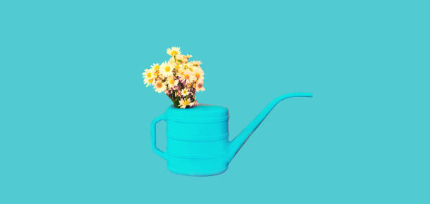 istock Watering can with flowers on blue background, gardening concept 1488257651