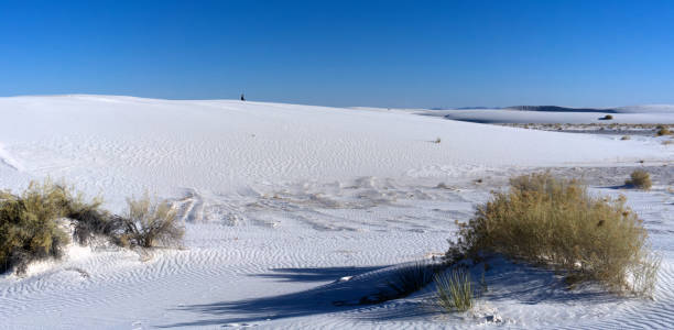 istock White Sands National Monument, man meditating 1488258493