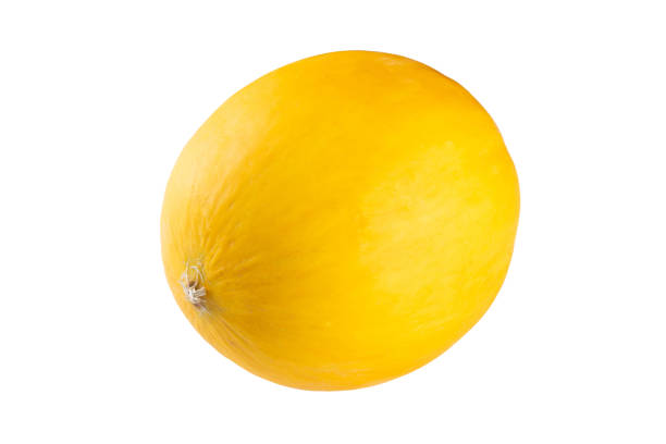 istock Yellow melon tropical fruit isolated on white background 1488259495