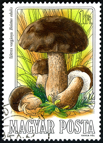 160+ What Is A Mushroom Stamp Pictures Stock Photos, Pictures & Royalty ...