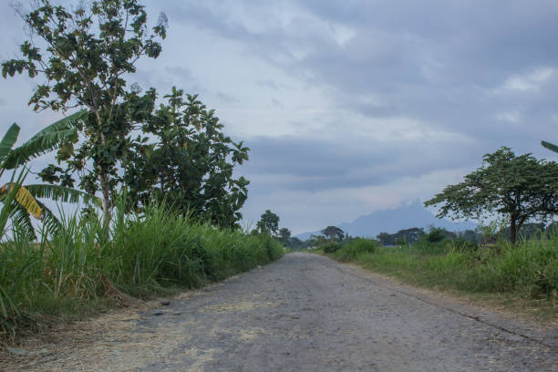 istock The road has no asphalt 1488266299