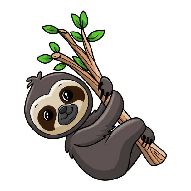 Vector illustration of Cute sloth playing on a branch