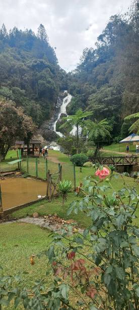 istock A beautiful waterfall in the nature 1488267844