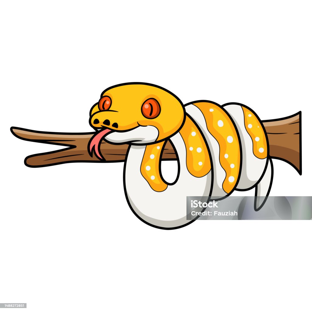 Fat Reticulated Python Cartoon Cute Albino Pied Reticulated Python Cartoon On Tree Branch Stock ...