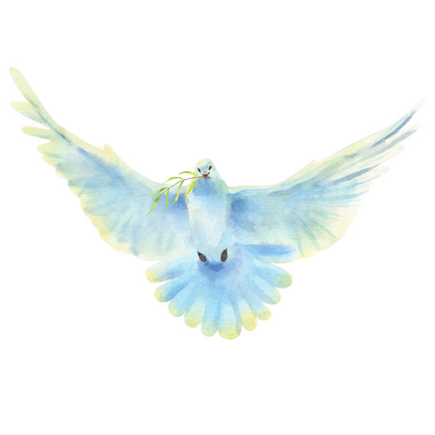 istock Watercolor illustration of flying white dove and olive branch isolated on a white background. 1488273132