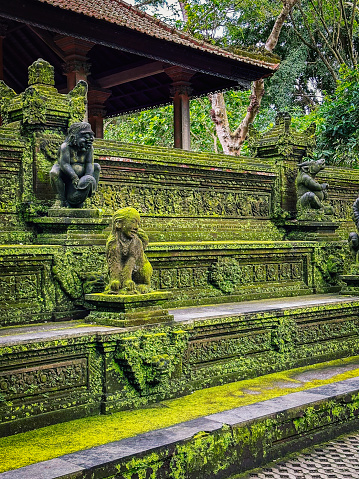 Monkey Forest in Ubud, Bali, Indoneisa. High quality photo