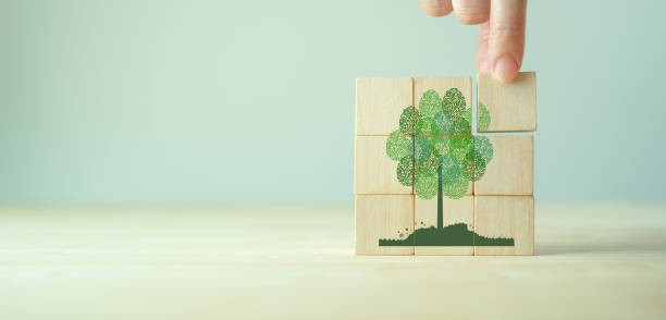 istock Abstract tree with different fingerprints leaves isolated on wooden cube blocks on clear background. World environment day or earth day concept. World Forestry Day. Environment  protection concept. 1488283979