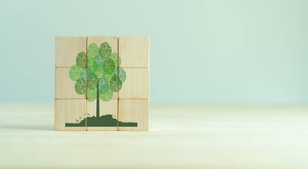 istock Abstract tree with different fingerprints leaves isolated on wooden cube blocks on clear background. World environment day or earth day concept. World Forestry Day. Environment  protection concept. 1488283997