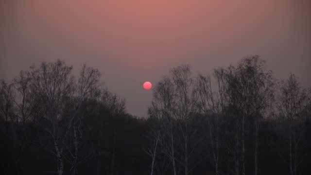 Sunset in the haze. Timelapse before dark. Trees without leaves. Autumn time