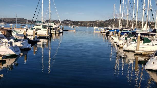 istock Boats in pier 1488291084