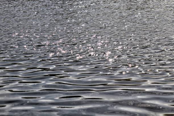 istock A tranquil full frame shot of rippled water. 1488295044