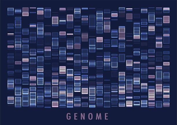 DNA genomic test, genome map. DNA genomic test, genome map. Big data visualization. Abstract infographics representation. Graphic concept for your design dna test stock illustrations