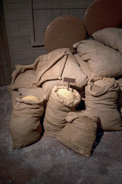 istock An artificial full burlap with white rice for exhibition display. 1488300776