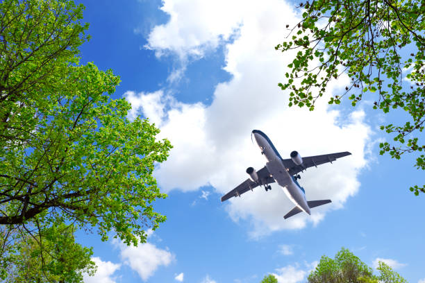 istock Looking up flying airplane over the natural frame of treetops 1488302034