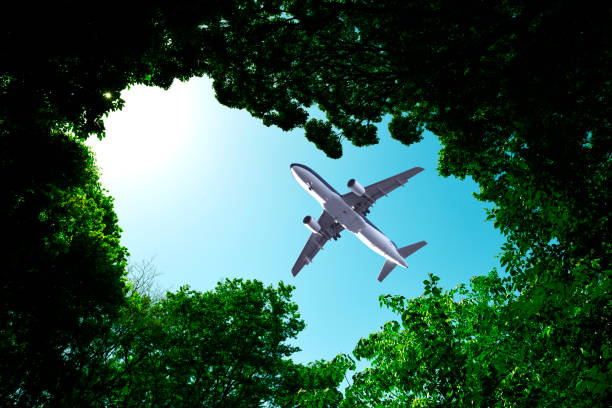 istock Looking up flying airplane over the natural frame of treetops 1488302035