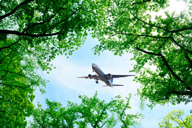 istock Looking up flying airplane over the natural frame of treetops 1488302038