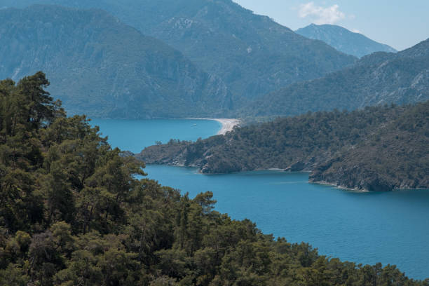 istock Forest-covered hills seashore nature view 1488306664