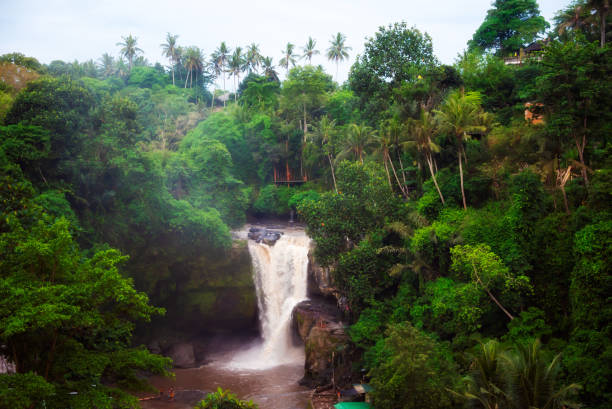 istock Scenic waterfall in rainforest on Bali island, Indonesia 1488307256