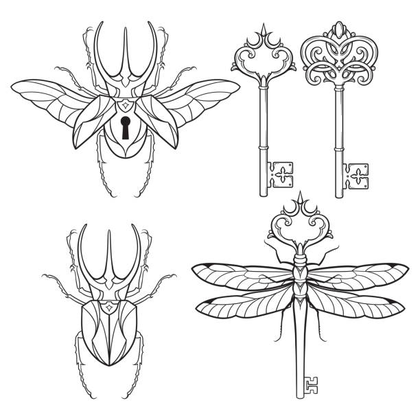 Set of skeleton keys, bug padlock and dragonfly in vintage style coloring book pages for kids and adults hand drawn line art print or tattoo design vector illustration Set of skeleton keys, bug padlock and dragonfly in vintage style coloring book pages for kids and adults hand drawn line art print or tattoo design vector illustration. skeleton key tattoo stock illustrations