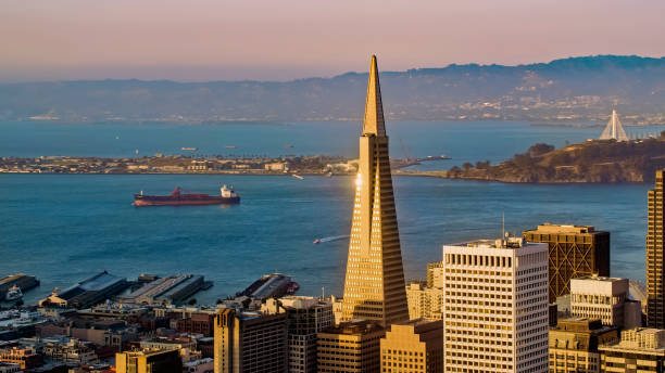 View of modern cityscape with island Aerial view of Transamerica Pyramid tower in downtown city with Yerba Buena Island in background during sunset, San Francisco, USA. transamerica pyramid san francisco stock pictures, royalty-free photos & images