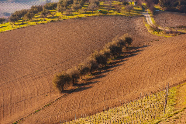 Countryside landscape in autumn, agriculture fields among hills