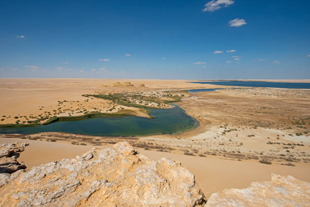 vista panorámica sobre el remoto paisaje del valle del desierto con lago salado - fayoum fotografías e imágenes de stock