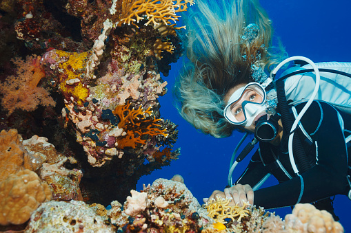 Scuba diving. Beautiful sea life. Underwater Young women Scuba diver explore and enjoy  Coral reef  Sea life