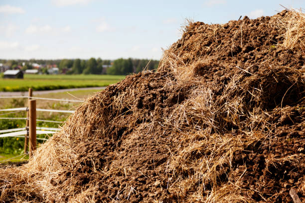 a manure pile in the country - norrland imagens e fotografias de stock