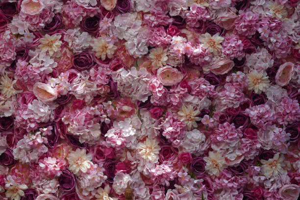 istock texture roses and flowers background, nature, template, banner, decor, pattern, copy space 1488313790