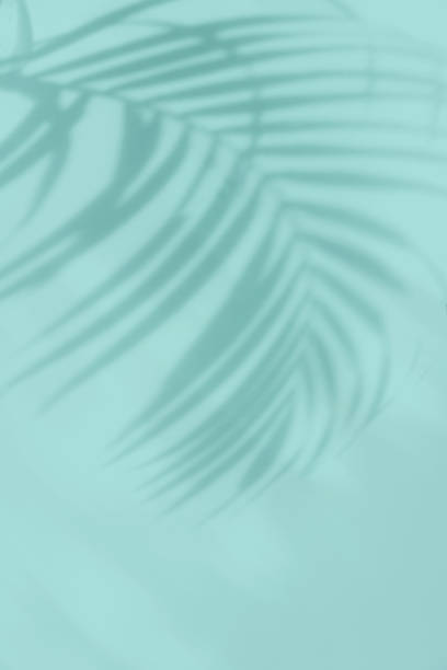 istock Tropical palm leaves shadow on pastel color background with copy space 1488313853