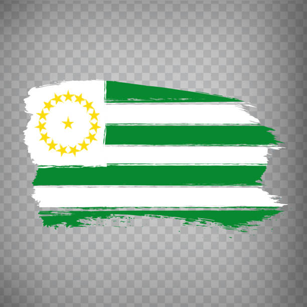 Flag of Caqueta from brush strokes. Flag Caqueta Department of Colombia on transparent background for your web site design, app, UI. Colombia. EPS10. Flag of Caqueta from brush strokes. Flag Caqueta Department of Colombia on transparent background for your web site design, app, UI. Colombia. EPS10. caqueta stock illustrations