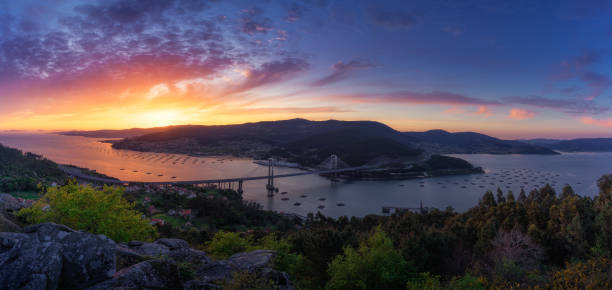 istock Sunset in Rande Bridge, Vigo, Galicia, Spain 1488318230