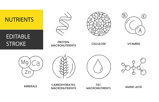 Nutrients vector line icon, illustration of protein and fiber, vitamins and minerals, carbohydrates and fats, amino acids and macronutrients. Editable stroke.