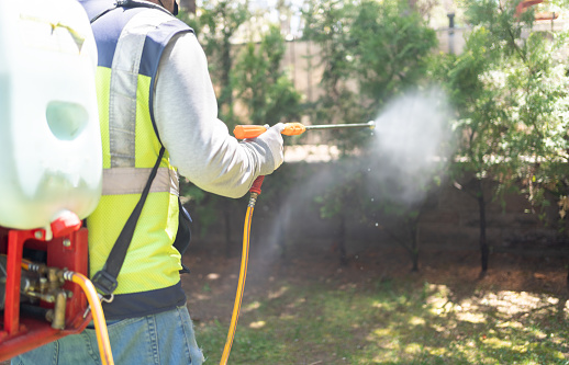Pest Control Man Spraying Pesticide In Garden