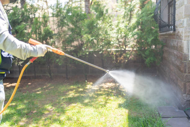Doing Pest Control Outside House Pest Control Man Spraying Pesticide In Garden herbicide stock pictures, royalty-free photos & images