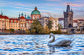 Old Townscape, Vltava River in Prague