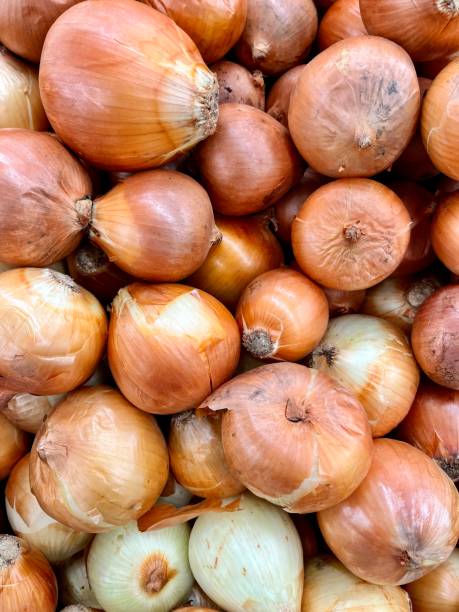 istock Onions on the supermarket shelf 1488325073