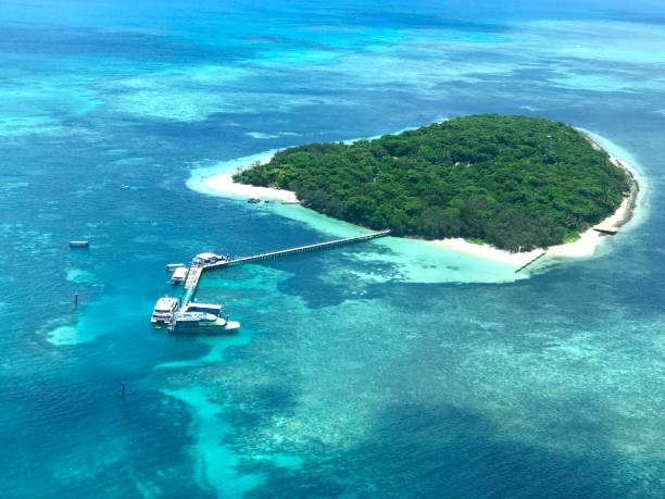 istock Great Barrier Reef, Queensland, Australia 1488328206