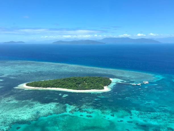 istock Fly to the heart-The heart reef 1488328213