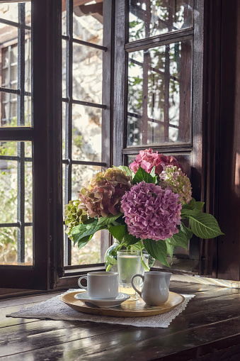 Still life with beautiful hydrangea in a vase and a cup of coffee against the backdrop of a vintage window in summer day