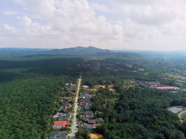 istock High angle view of Felda Kerteh 3. 1488332268