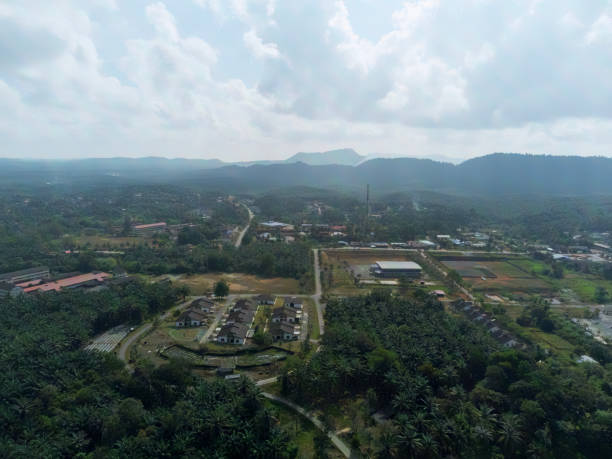 istock High angle view of Felda Kerteh 3. 1488333360